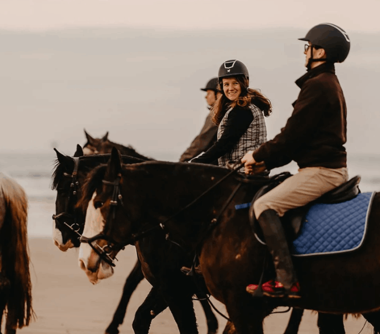 Family Adventure  - Farm & Equestrian Experiences