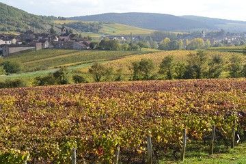 Day 3: Brancion - St Gengoux de Scisse