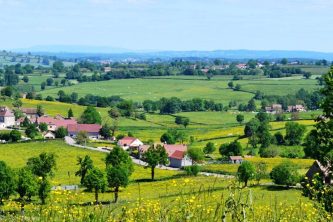 BEAUTIFUL BRIONNAIS: SECRET HILLS OF BURGUNDY