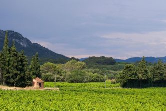 COTE DU RHONE WINE TRAIL