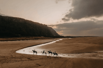 Experience authentic horseback riding in Northern Ireland s stunning countryside