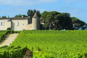 FRENCH ROYAL JOURNEY THROUGH HISTORY & WINE