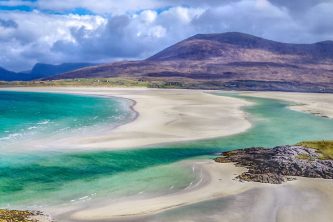 WILD SCOTLAND