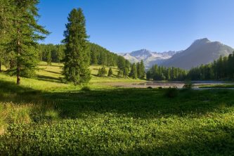 ALPINE ADVENTURE: GR5 BRIANCON TO ROYA