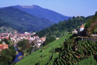 ALSACE - VINEYARDS AND MOUNTAINS