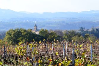 BEAUJOLAIS & BURGUNDY UNCOVERED
