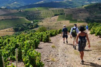 BEAUJOLAIS MEDIEVAL VILLAGES TOUR - SHORT