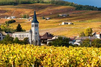 BEAUJOLAIS WINE TRAIL: GRAND CRUS