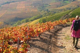 BEAUTIFUL BEAUJOLAIS TRAIL (TRAVERSE)