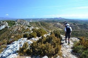 GRAND TOUR OF LES ALPILLES